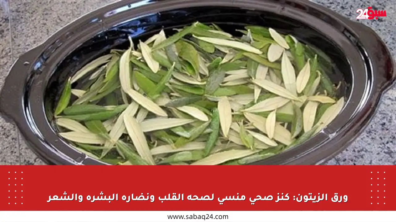 ورق الزيتون: كنز صحي منسي لصحة القلب ونضارة البشرة والشعر